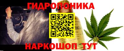 кокс Новокубанск