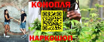 кокс Новокубанск
