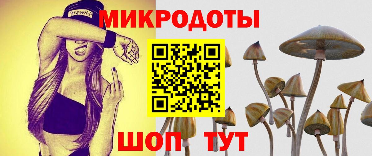 Галлюциногенные грибы Magic Shrooms  Вход с VPN  Тихвин  Псилоцибиновые грибы MAGIC MUSHROOMS 